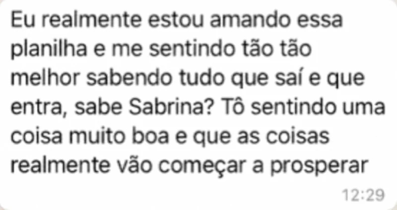 Mensagem de uma cliente dizendo que está amando a planilha